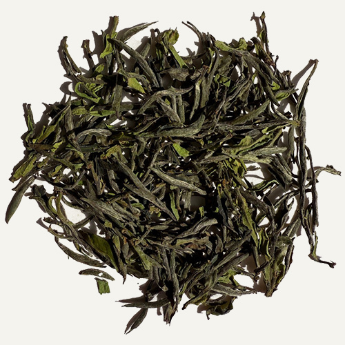 FEATURED TEA OF THE WEEK